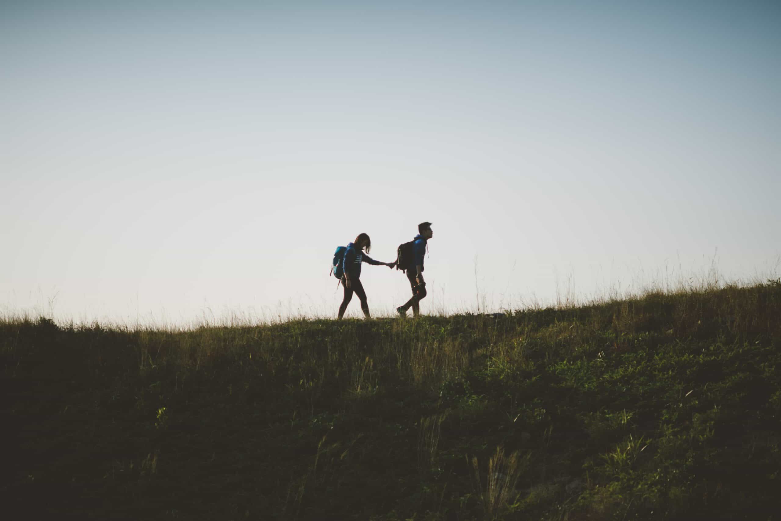 Building Trust in Teams by Personality Path. Photo by Joseph Chan on Unsplash